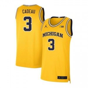 Elliot Cadeau Michigan Wolverines Men's 2025 College Basketball #3 Jersey - Maize 290538-450