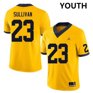 Cole Sullivan Michigan Wolverines Alumni #23 Youth College Football Jerseys - Yellow 175017-870
