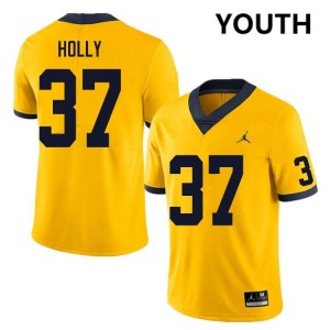Julius Holly Michigan Wolverines Youth Game #37 College Football Jerseys - Yellow 535418-647