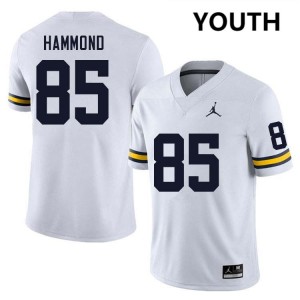 Ted Hammond Michigan #85 College Football High School Youth Jerseys - White 363988-682