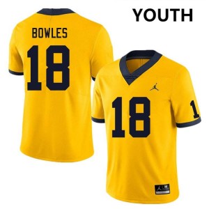 Troy Bowles Michigan Wolverines Embroidery #18 Youth College Football Jerseys - Yellow 386579-344