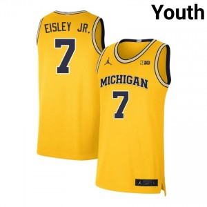 Howard Eisley Jr. Michigan Alumni #7 Youth College Basketball Jersey - Maize 723038-168