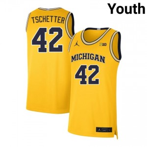 Will Tschetter Wolverines Stitched #42 College Basketball Youth Jerseys - Maize 384679-422